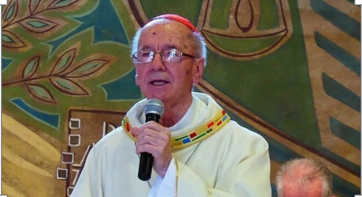 El cardenal Hummes, presidente del CEAMA recuerda las palabras del Papa Francisco a favor de  la promoción del diaconado permanente
